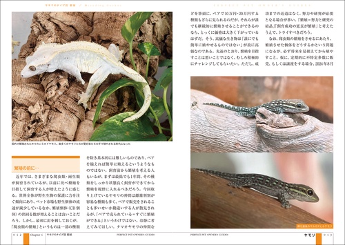 ヤモリ完全飼育 – 丸善ジュンク堂書店ネットストア