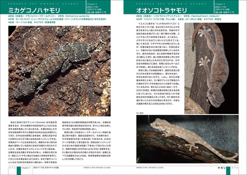 ヤモリ完全飼育 – 丸善ジュンク堂書店ネットストア