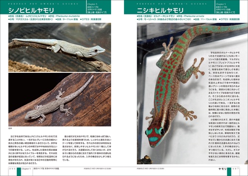 ヤモリ完全飼育 – 丸善ジュンク堂書店ネットストア
