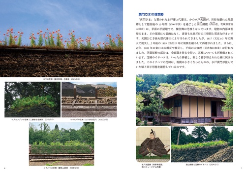 屋根の花園 – 丸善ジュンク堂書店ネットストア