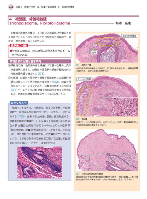 1冊でわかる皮膚病理 第2版 (皮膚科サブスペシャリティーシリーズ