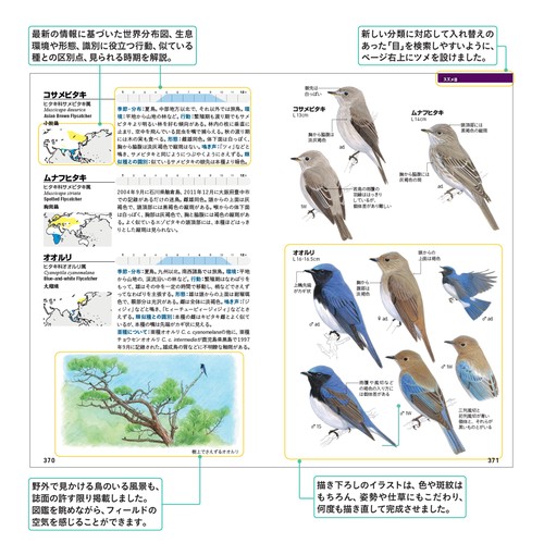 フィールド図鑑 日本の野鳥 第3版 – 丸善ジュンク堂書店ネット