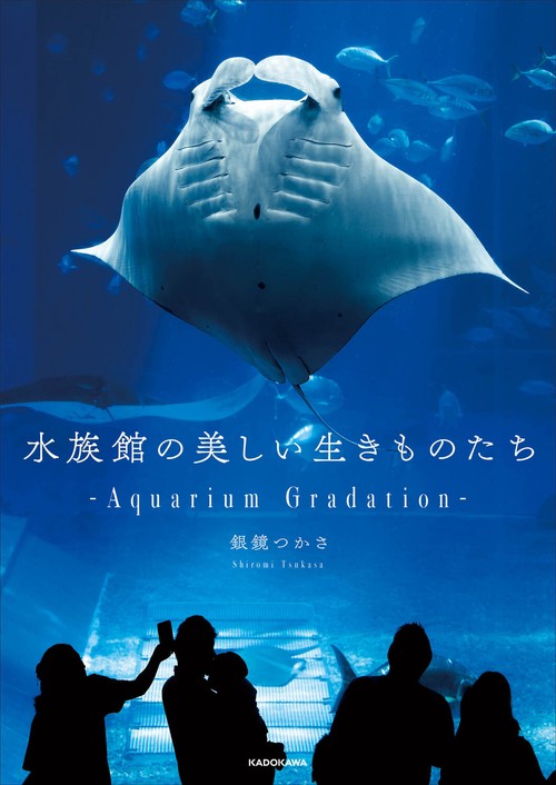 ❌水族館好き(❁ᴗ͈ˬᴗ͈)水族館の生き物 水族館の美しい生きものたち ―Aquarium Gradation― – 丸善