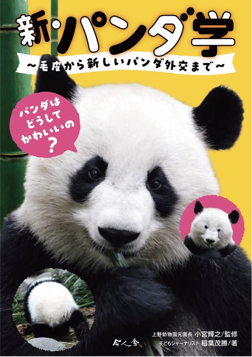 パンダはクマ パンダはクマの仲間？クマ科の動物8種類を比較 | ニッポンパンダ