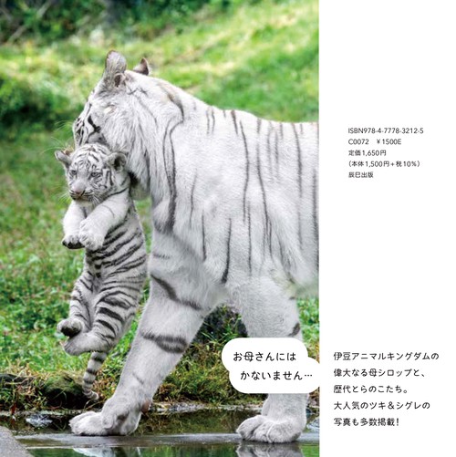 洋書◆虎の写真集 本 動物 トラ タイガー 洋書◇虎の写真集 本 動物 トラ タイガー 洋書◇虎の解説写真