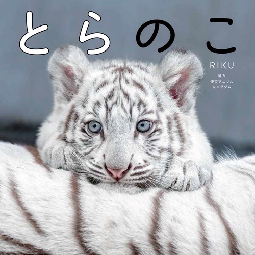 とらのこ – 丸善ジュンク堂書店ネットストア