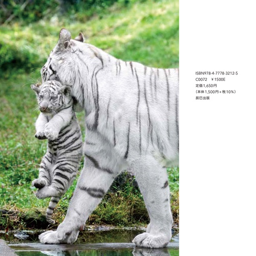 とらのこ – 丸善ジュンク堂書店ネットストア