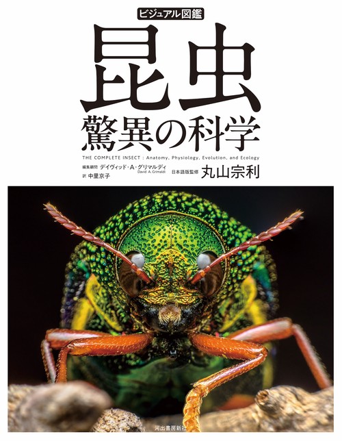 ビジュアル図鑑 昆虫 驚異の科学 – 丸善ジュンク堂書店ネットストア