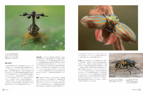 ビジュアル図鑑 昆虫 驚異の科学 – 丸善ジュンク堂書店ネットストア