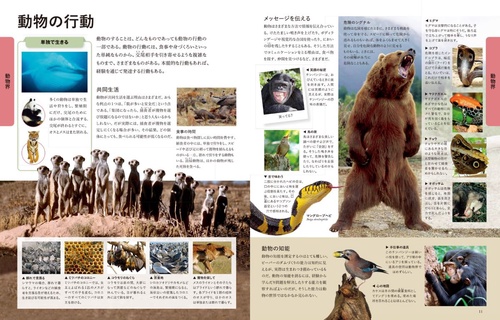 動物の図鑑 動物 新版｜学研の図鑑LIVE｜学研の図鑑（Gakken）