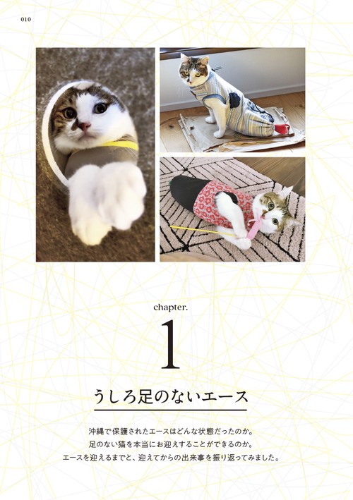 二本足の猫・エースのごきげん日和 – 丸善ジュンク堂書店ネットストア