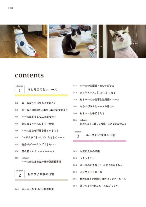 二本足の猫・エースのごきげん日和 – 丸善ジュンク堂書店ネットストア