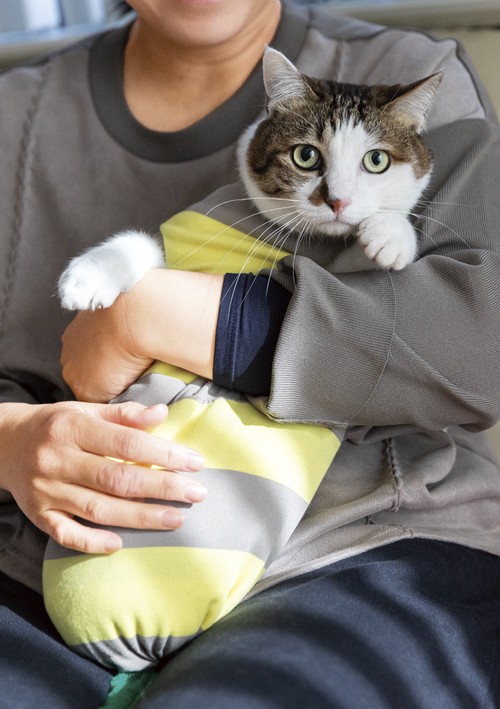 二本足の猫・エースのごきげん日和 – 丸善ジュンク堂書店ネットストア