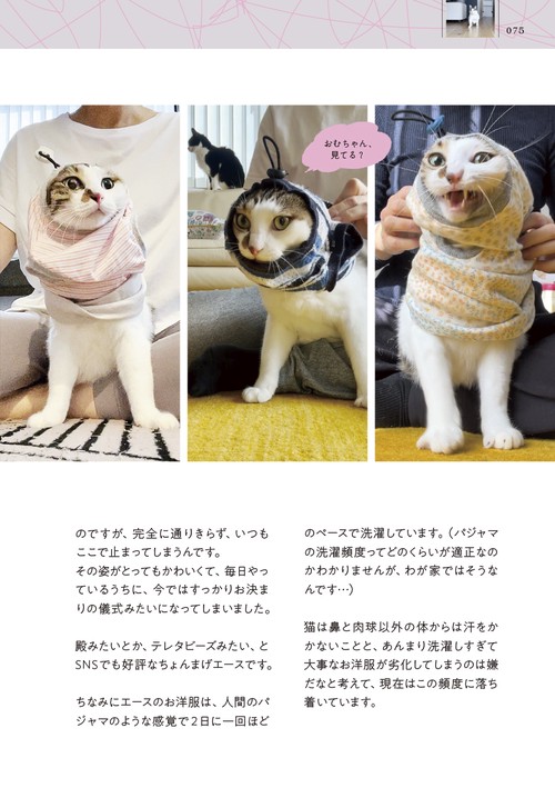 二本足の猫・エースのごきげん日和 – 丸善ジュンク堂書店ネットストア