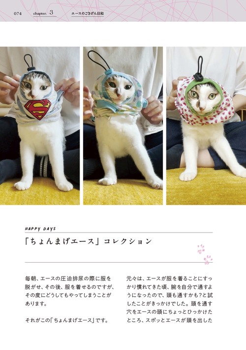 国内人気作家様、四つ足の猫 国内人気作家様、四つ足の猫 国内人気作家様、四つ足の猫 国内人気作家