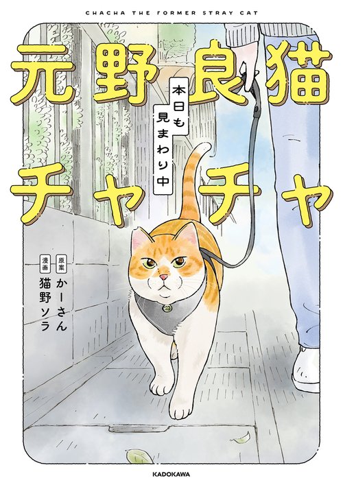 元野良猫チャチャ 本日も見まわり中 – 丸善ジュンク堂書店ネットストア