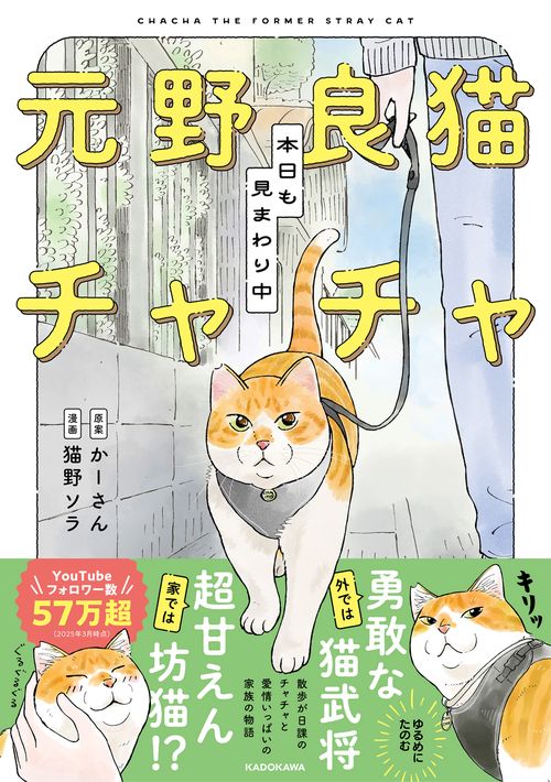 元野良猫チャチャ 本日も見まわり中 – 丸善ジュンク堂書店ネットストア