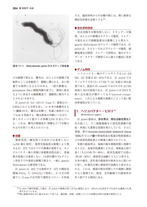 戸田新細菌学 戸田新細菌学 | 吉田 眞一, 柳 雄介, 吉開 泰信 |本 | 通販 | Amazon