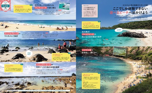 【ハワイ好き必見】ハワイ デザインブック ハワイスタイル NO.66 | HAWAII STYLE online shop