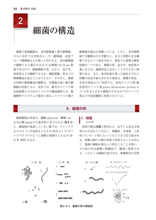 医科細菌学　改訂第4版 医科細菌学 改訂第4版 本