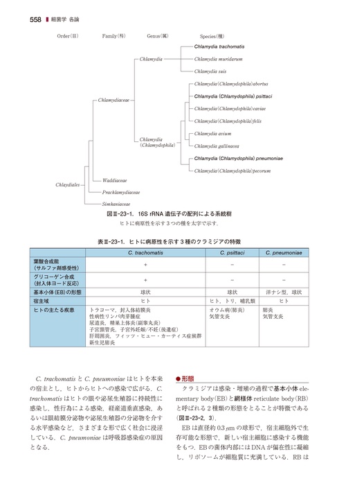 戸田新細菌学 戸田新細菌学 | 吉田 眞一, 柳 雄介, 吉開 泰信 |本 | 通販 | Amazon
