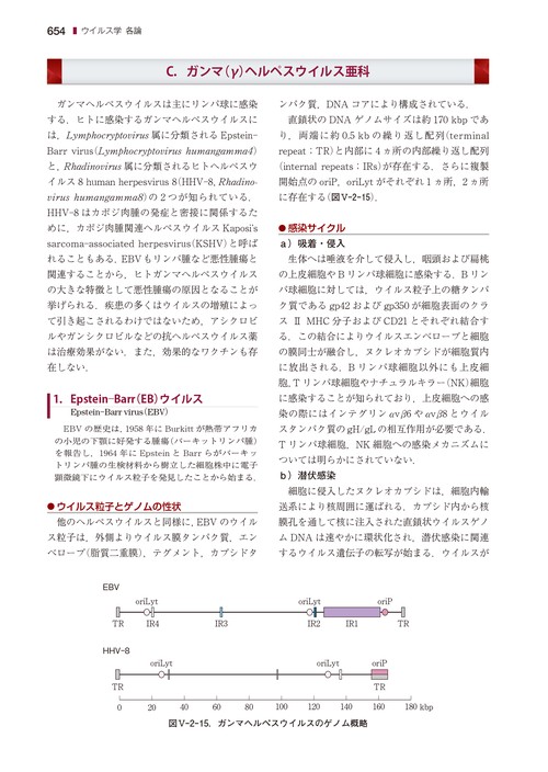 戸田新細菌学 – 丸善ジュンク堂書店ネットストア