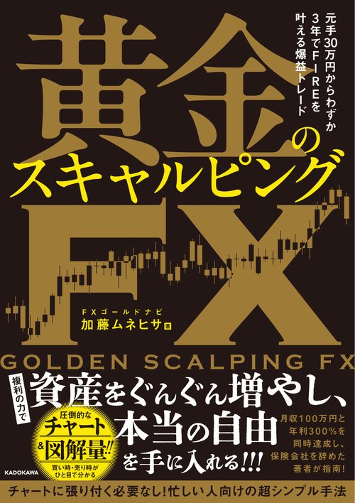 投資FX 月利30パーセント 手法 DVD 41DjgOdyuHL._SY200_QL15_.jpg