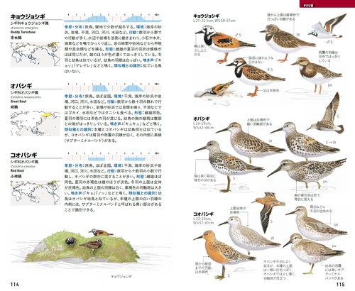フィールド図鑑 日本の野鳥 第3版 – 丸善ジュンク堂書店ネットストア