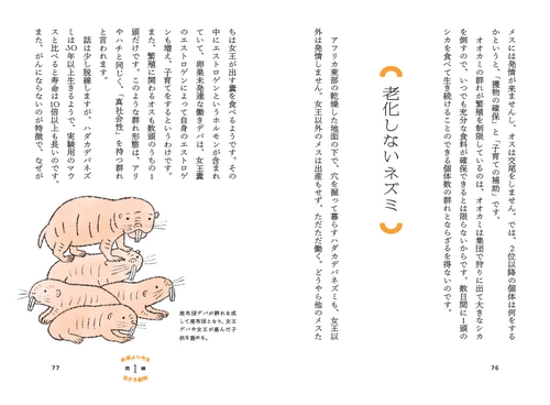 聴診器からきこえる 動物と老いとケアのはなし – 丸善ジュンク堂書店