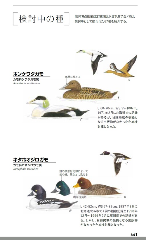 ﾌｨｰﾙﾄﾞ図鑑 日本の野鳥 第２版 | ＲＫのブログ フィールド図鑑 日本の野鳥