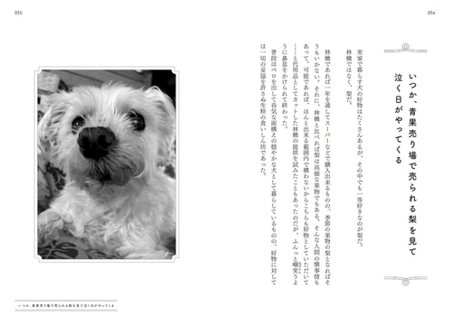 心の中で犬を抱きあげたあの日、自分に優しくなれた気がした – 丸善