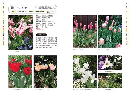 決定版! 花事典800 – 丸善ジュンク堂書店ネットストア