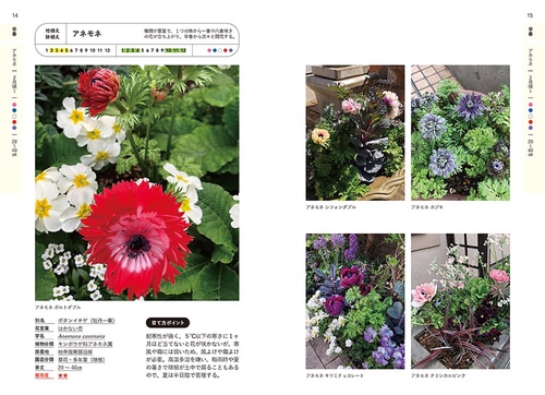 決定版! 花事典800 – 丸善ジュンク堂書店ネットストア