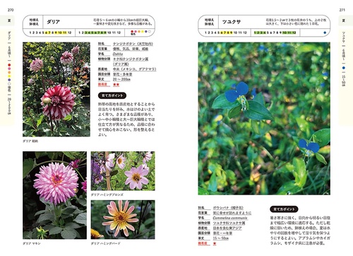 決定版! 花事典800 – 丸善ジュンク堂書店ネットストア