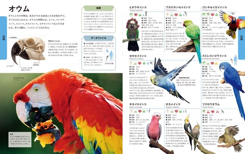 ビジュアル 世界の動物大図鑑 – 丸善ジュンク堂書店ネットストア