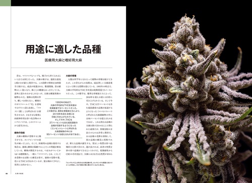 大麻を知る 法と科学の世界最前線 – 丸善ジュンク堂書店ネットストア