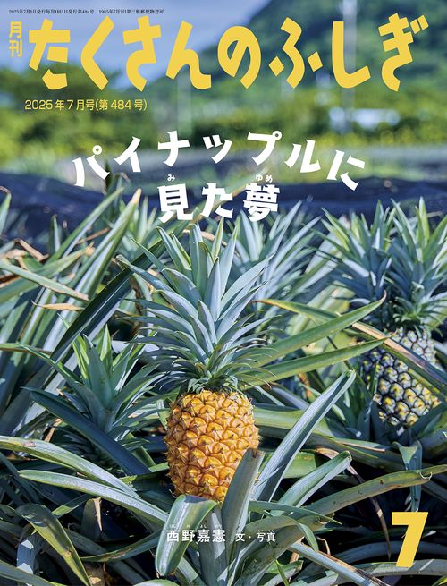 パイナップルに見た夢(たくさんのふしぎ) (2025年07月号) [雑誌