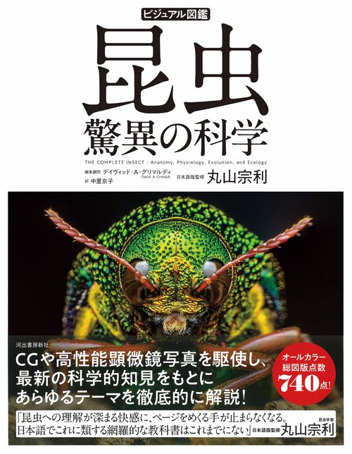 電子辞書　医学　語学　ダイエット　昆虫植物図鑑 Amazon | シャープ カラー電子辞書 ホワイト系PW-SA1-W スーパー