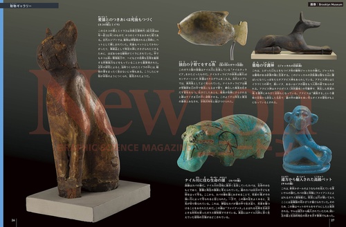 Newton別冊 古代エジプトの謎 – 丸善ジュンク堂書店ネットストア