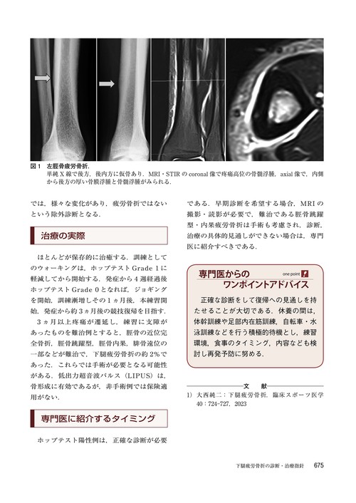 運動器疼痛ペインクリニックの診断と治療 dショッピング |運動器疼痛ペインクリニックの診断と治療 /井関