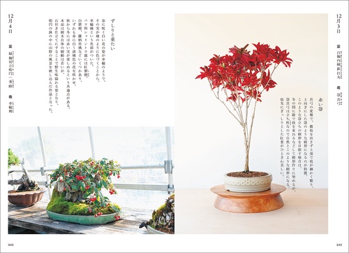 盆栽ごよみ365日 – 丸善ジュンク堂書店ネットストア