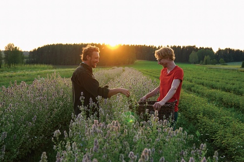 フィンランドの森で出会ったハーブのある暮らし – 丸善ジュンク堂書店