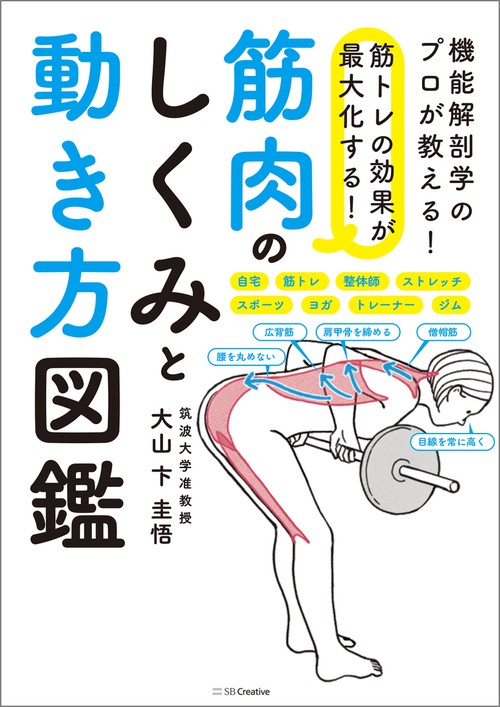 筋トレの効果が最大化する！ 筋肉のしくみと動き方図鑑 – 丸善ジュンク