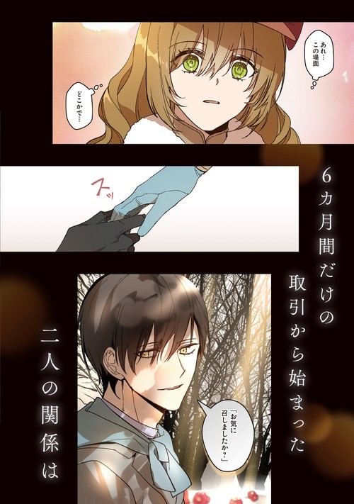 【hiro】彼女が公爵邸に行った理由 全巻セット hiro様専用】彼女が公爵邸に行った理由 全巻セット