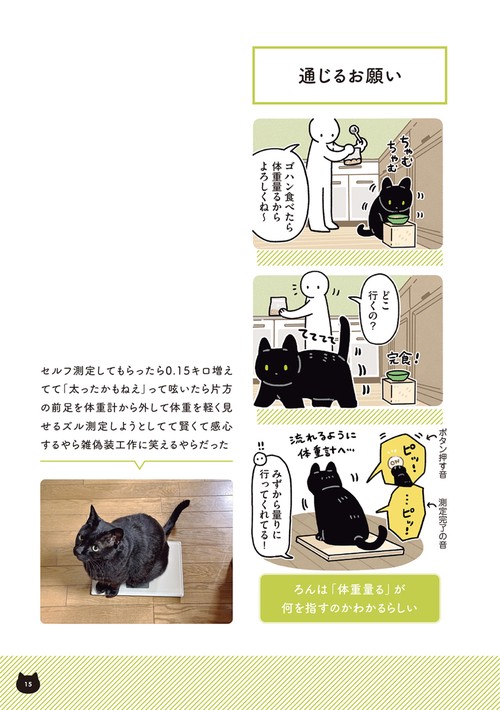 黒猫ろんと暮らしたら7 – 丸善ジュンク堂書店ネットストア