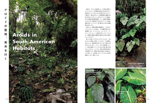 AROID ADDICTS サトイモ科熱帯植物図鑑 – 丸善ジュンク堂書店ネットストア