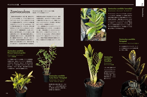 AROID ADDICTS サトイモ科熱帯植物図鑑 – 丸善ジュンク堂書店ネットストア