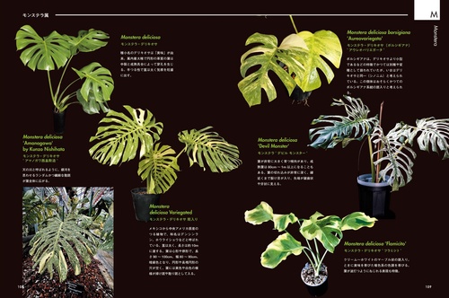 AROID ADDICTS サトイモ科熱帯植物図鑑 – 丸善ジュンク堂書店ネットストア