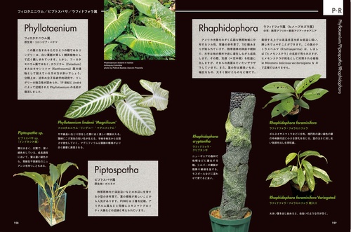 AROID ADDICTS サトイモ科熱帯植物図鑑 – 丸善ジュンク堂書店ネットストア