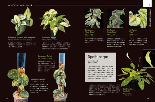 AROID ADDICTS サトイモ科熱帯植物図鑑 – 丸善ジュンク堂書店ネットストア